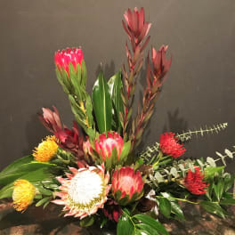 Tropical floral arrangement with pink and red protea in a low vase