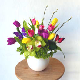 Colorful tulips and green orchids in a white round vase with pussy willow branches and butterfly picks.
