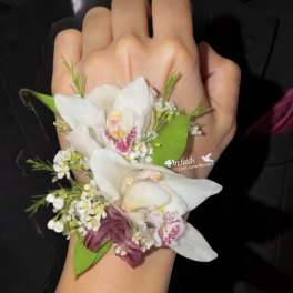 Cymbidium Orchids Corsage Wax Flower & Burgundy Ribbon