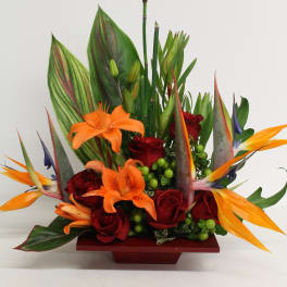 Tropical arrangement with orange lilies, red roses, and birds of paradise in a low red container