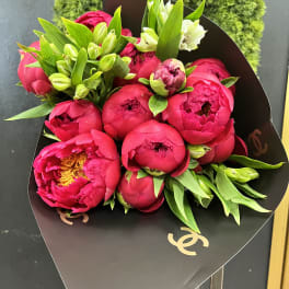 Bouquet of bright pink peonies with green buds and white blooms in black wrap