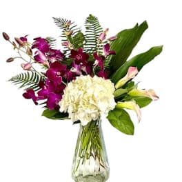 Purple orchids and white hydrangea in a clear glass vase