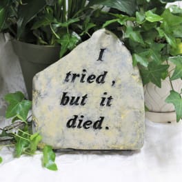 Decorative stone sign with ivy and the words "I tried, but it died."