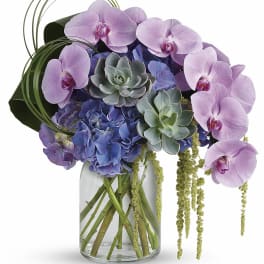 Lavender orchids and blue hydrangeas in a glass vase with succulents