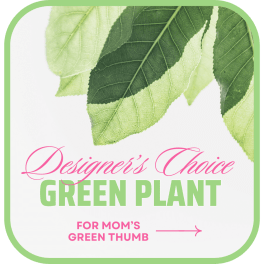 Green plant gift card with leaf graphics and pink text