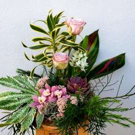 Mixed floral arrangement with pink roses, orchids, and succulents in a container