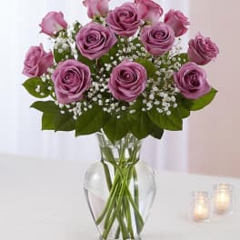 Rose Elegance Premium Long Stem Purple Roses