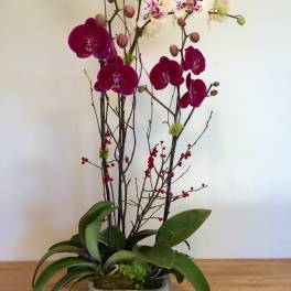 Tall orchid arrangement in a gray pot with magenta and white blooms