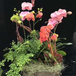 Orchid arrangement with pink and orange blooms in a wooden planter