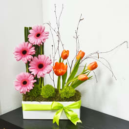 Pink gerbera daisies and orange tulips in a white box with a lime ribbon