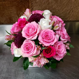 Bouquet of pink and white roses with dark purple blooms