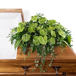 Green plant arrangement on a wooden casket