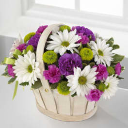 Basket arrangement of white daisies, purple carnations, and green button mums