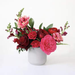 Pink and red roses arranged in a white vase