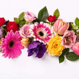 Mixed bouquet of roses, gerbera daisies, and tulips in pink, yellow, and purple