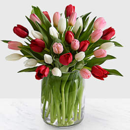 Here in My Heart Tulip Bouquet - 20 Stems- VASE INCLUDED
