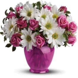 Pink roses and white daisies in a purple vase