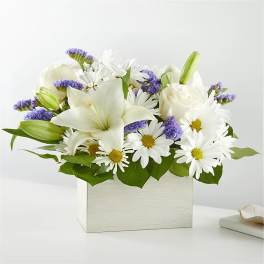 White lilies and daisies arranged in a square white box with purple accents