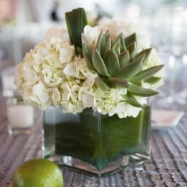 Low white hydrangea and green succulent arrangement in a glass cube vase on a table