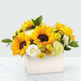 Sunflowers and white roses in a white wooden box