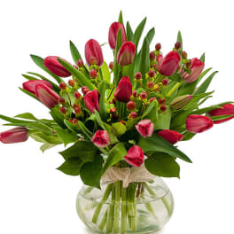 Pink tulips arranged in a clear glass vase