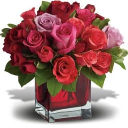 Compact arrangement of red, pink, and lavender roses in a red glass cube vase