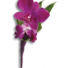 Purple orchid boutonniere with green leaves