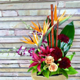 Tropical bouquet with bird of paradise, orchids, roses, and dark red blooms in a vase