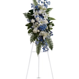 Ocean Breeze Spray by Teleflora (T246-2A)