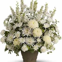 White chrysanthemum arrangement in a brown pot
