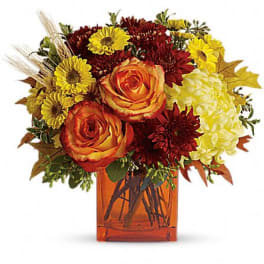 Bouquet of orange roses, yellow daisies, and burgundy mums in an amber vase