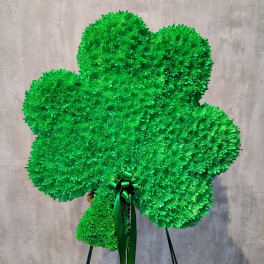 Green shamrock-shaped floral arrangement with a ribbon bow