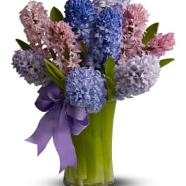 Bouquet of pink and blue hyacinths in a glass vase with a purple ribbon