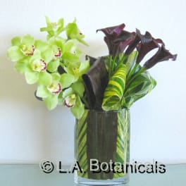Arrangement of green orchids and dark calla lilies in a glass vase