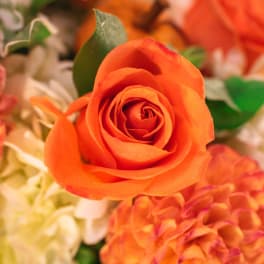 Close-up of orange roses and pink hydrangeas in a floral arrangement
