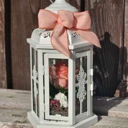 White lantern with a pink ribbon and a pink rose inside