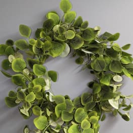 Green leafy wreath on a gray background