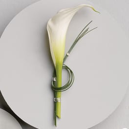 Single white calla lily with green stem wrap