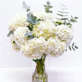 White hydrangea bouquet in a clear glass vase with eucalyptus