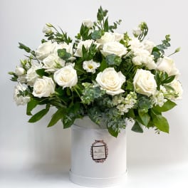 White roses arranged in a white hat box with greenery