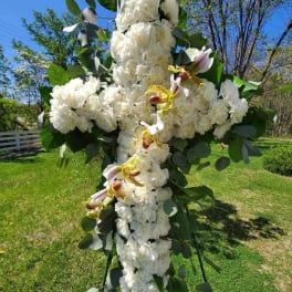Large white floral cross on an outdoor stand with green foliage