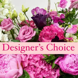 Designer Choice