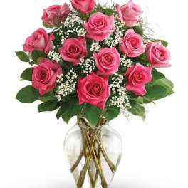 1 Dozen Hot Pink Rose Arrangement
