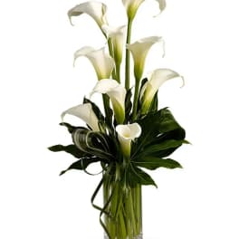 Tall arrangement of white calla lilies with dramatic green leaves in a clear glass vase