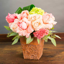 Short arrangement of peach and pink roses with green hydrangea in an embossed terracotta pot.