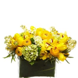 Low yellow flower arrangement in a rectangular clear glass vase