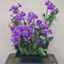 Purple orchids arranged in a black rectangular container