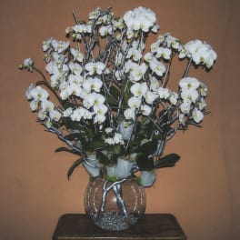 White orchid arrangement in a clear glass vase