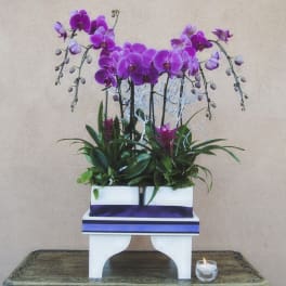 Purple orchid arrangement in a white container with a small candle beside it