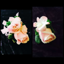 Two small rose corsages with pale pink ribbon on a dark background